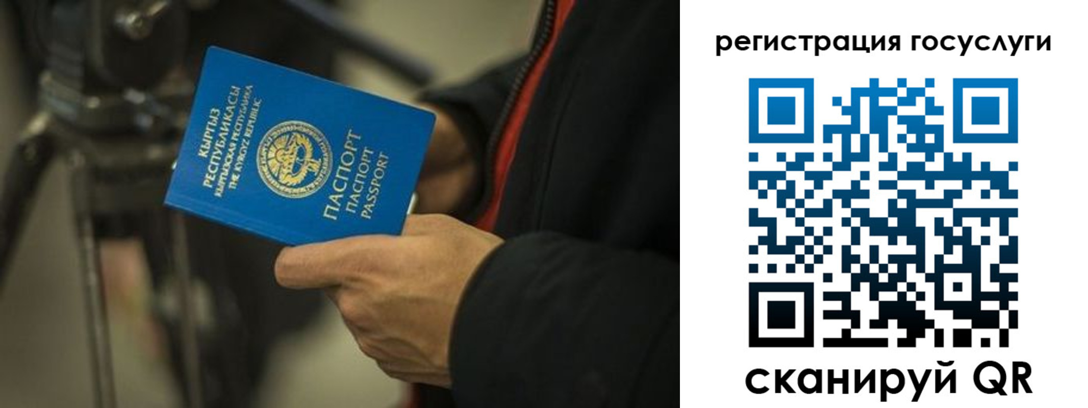 регистрация в Ульяновской области